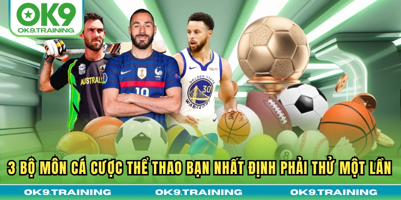Thể Thao OK9 – Tâm Điểm Của Nhiều Bộ Môn Giải Trí Hấp Dẫn