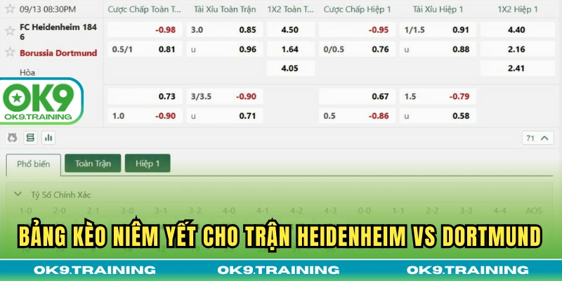 Soi Kèo Heidenheim Vs Dortmund 20h30 Thứ 7 Ngày 13/09/2026