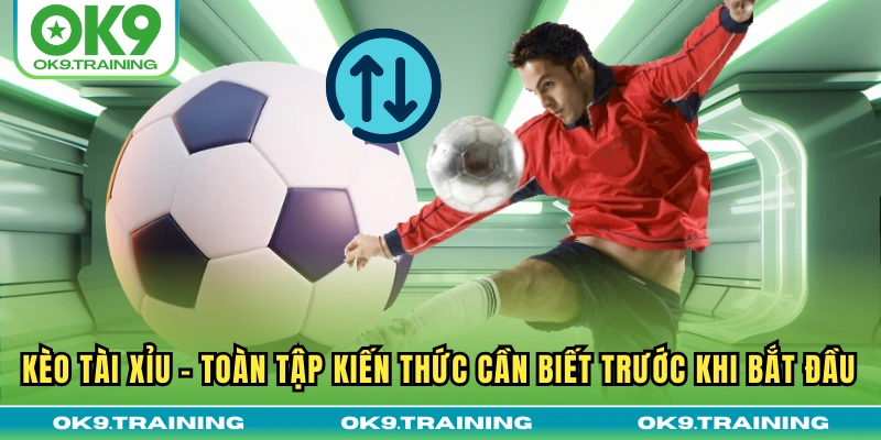 Tin Tức OK9 - Nhận Định Từ Chuyên Gia Với Tỷ Lệ Thắng Lớn Tin Tức OK9 - Nhận Định Từ Chuyên Gia Với Tỷ Lệ Thắng Lớn