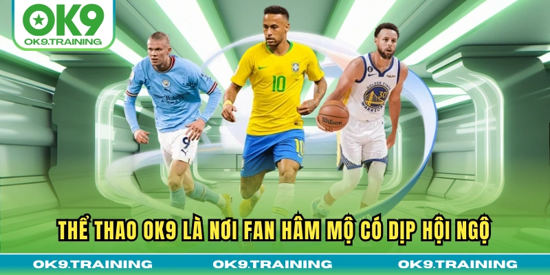 Thể Thao OK9 – Tâm Điểm Của Nhiều Bộ Môn Giải Trí Hấp Dẫn